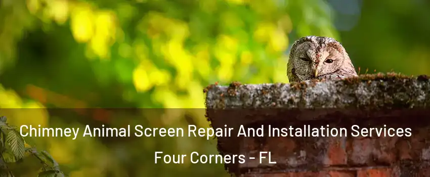  Chimney Animal Screen Repair And Installation Services Four Corners - FL