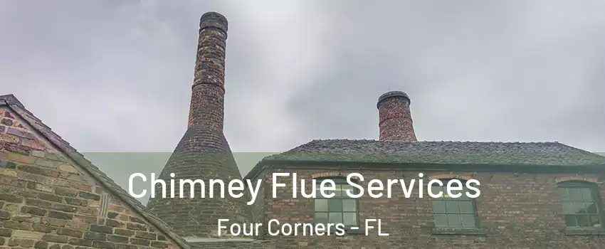  Chimney Flue Services Four Corners - FL