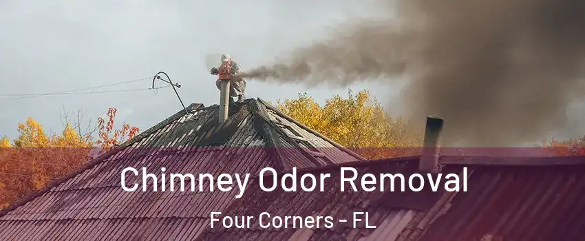  Chimney Odor Removal Four Corners - FL