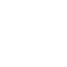 Professional Chimney Flue Installation in Four Corners, Florida