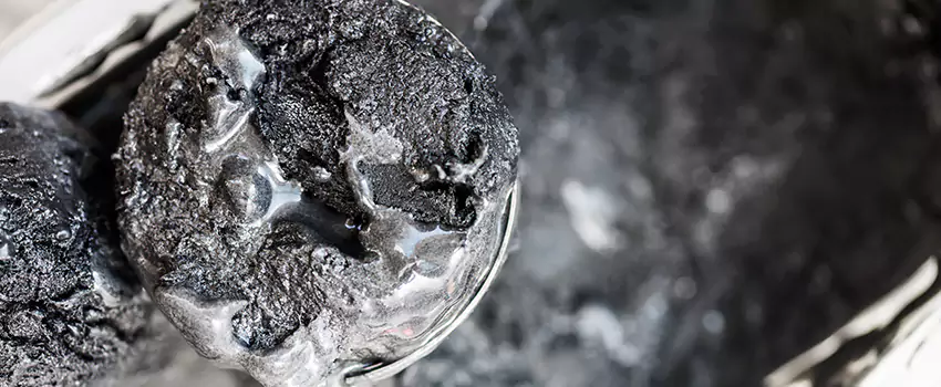 Clogged Dryer Vent Lint Cleaning in Four Corners, Florida