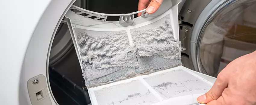 Best Dryer Lint Removal Company in Four Corners, Florida