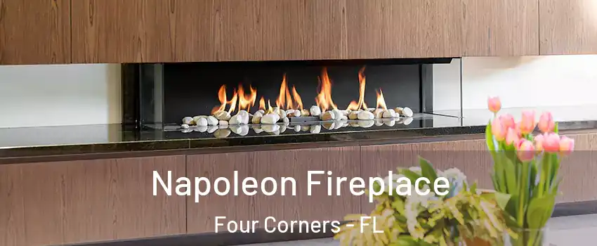  Napoleon Fireplace Four Corners - FL